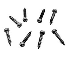 64-66 Headlight Door Screw Kit, 8 pcs