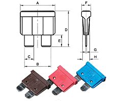Fuse, Standard, 30A